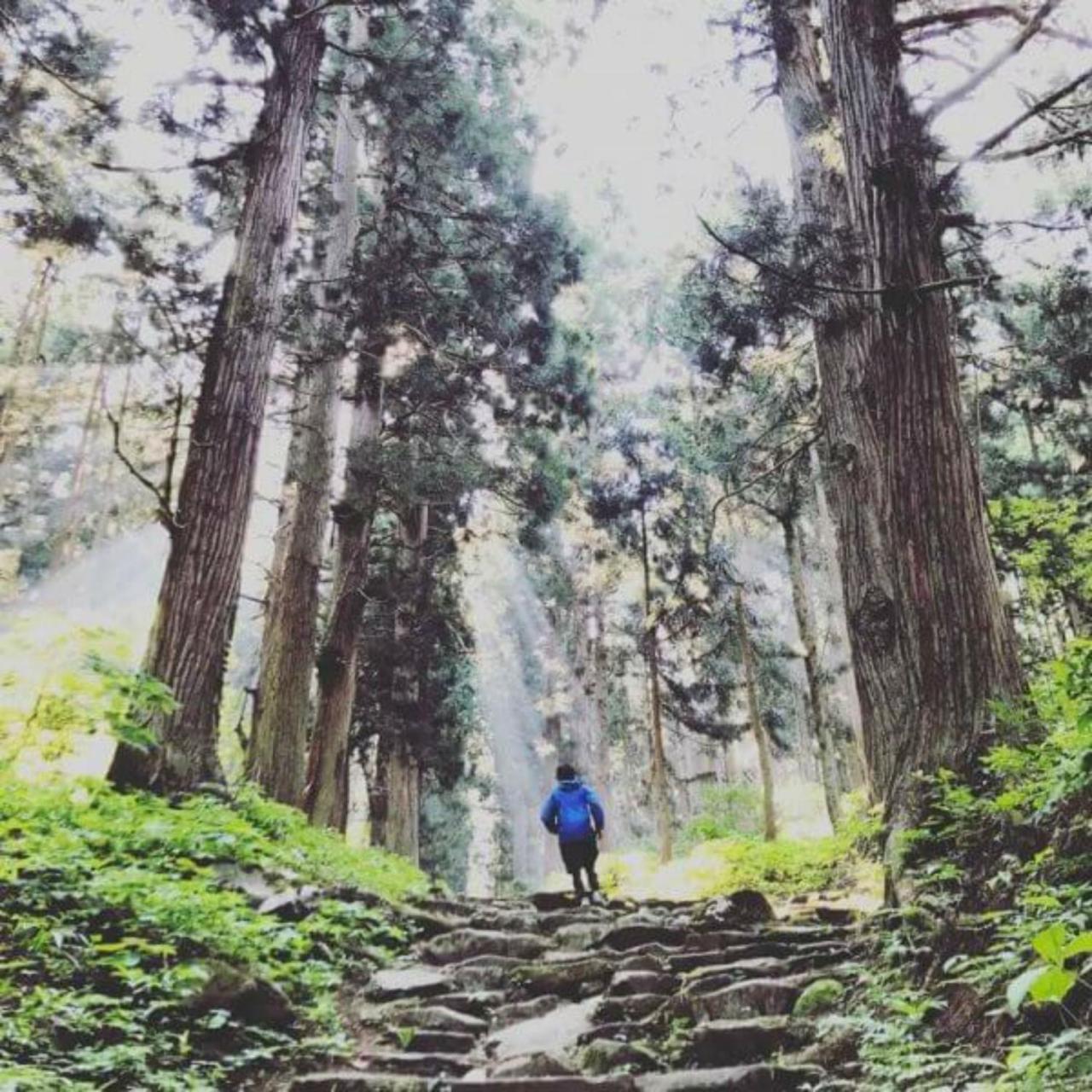 Lodge Nagano Nozawaonsen Bagian luar foto
